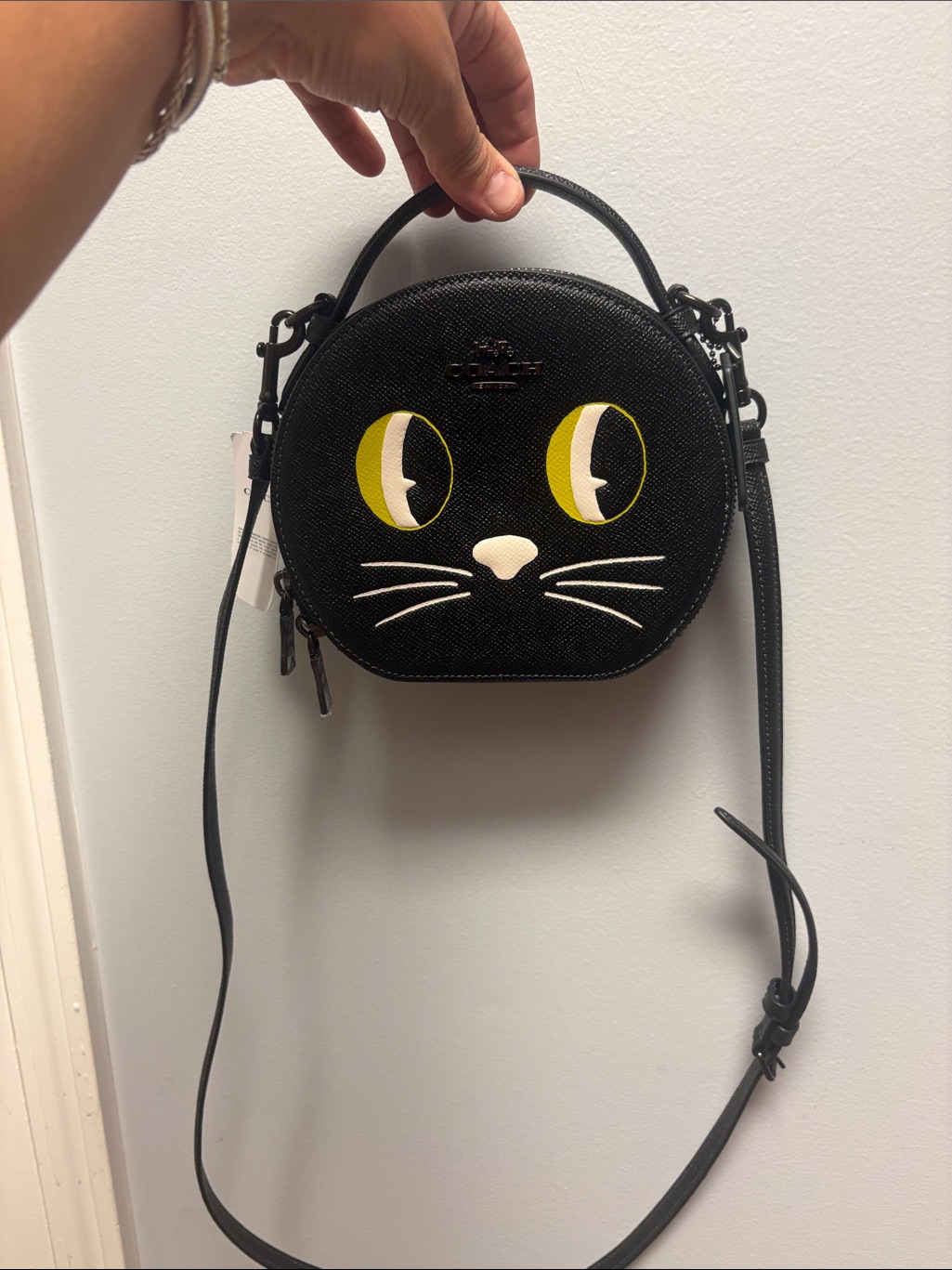Nwt Coach Canteen Crossbody Hwn Cat Style # Cm769